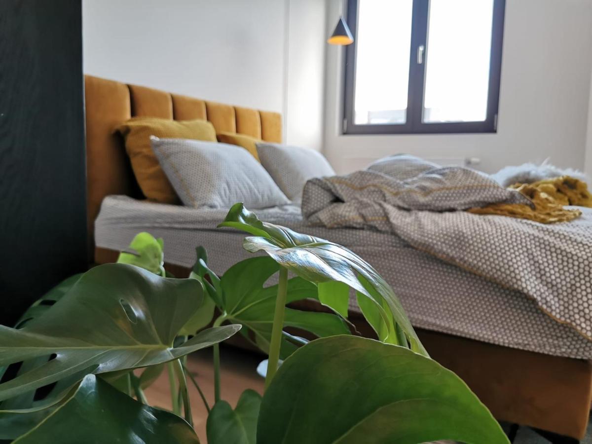 The Penthouse, Oasis Of Light And Inspiration Apartman Antwerpen Kültér fotó